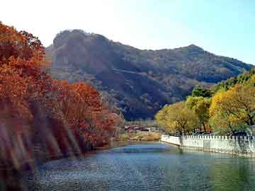 新澳天天开奖资料大全旅游团，中山淘宝代运营